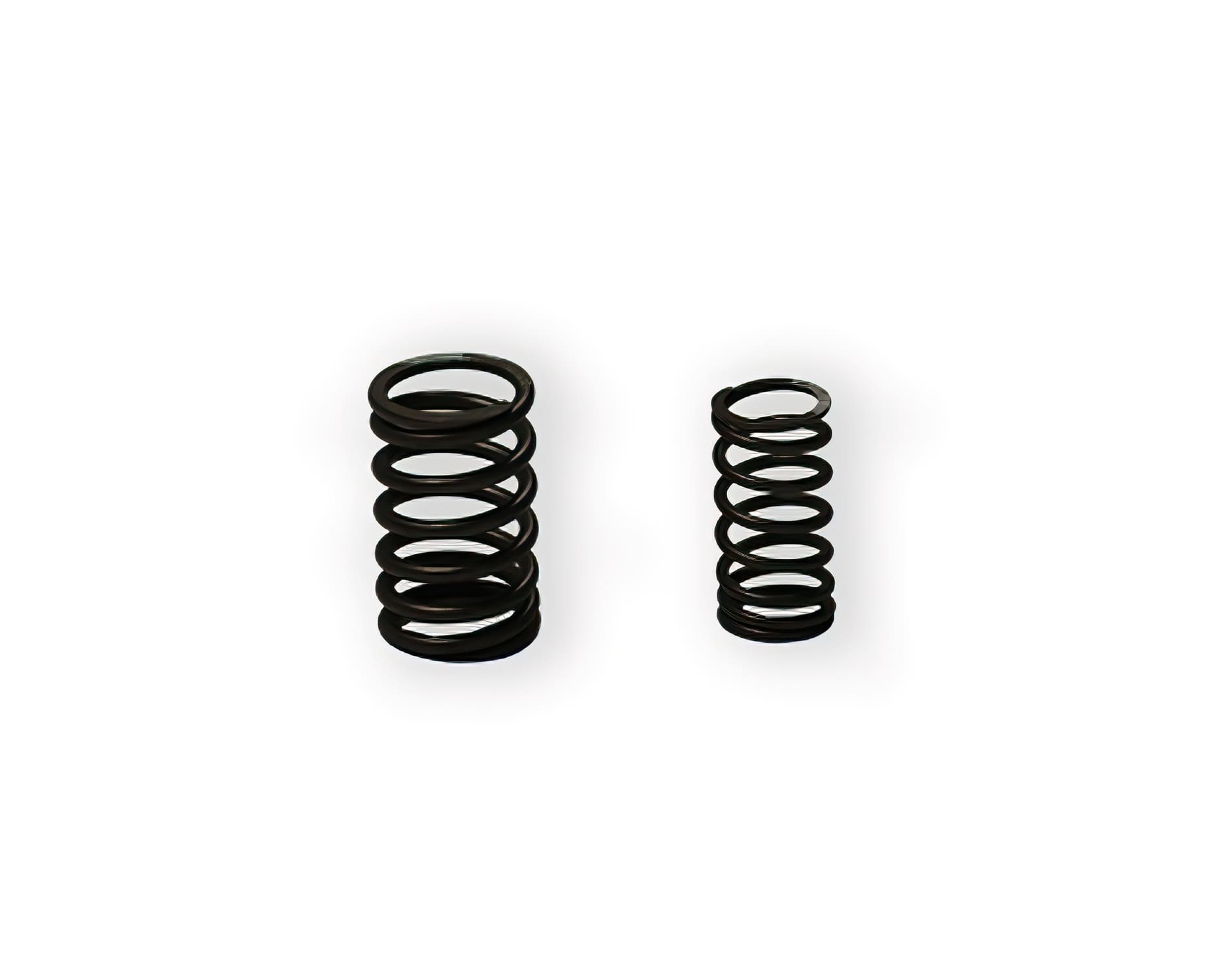 ZONG-100200723 Valve springs Pit Bike / Dirt Bike Zongshen W110/125