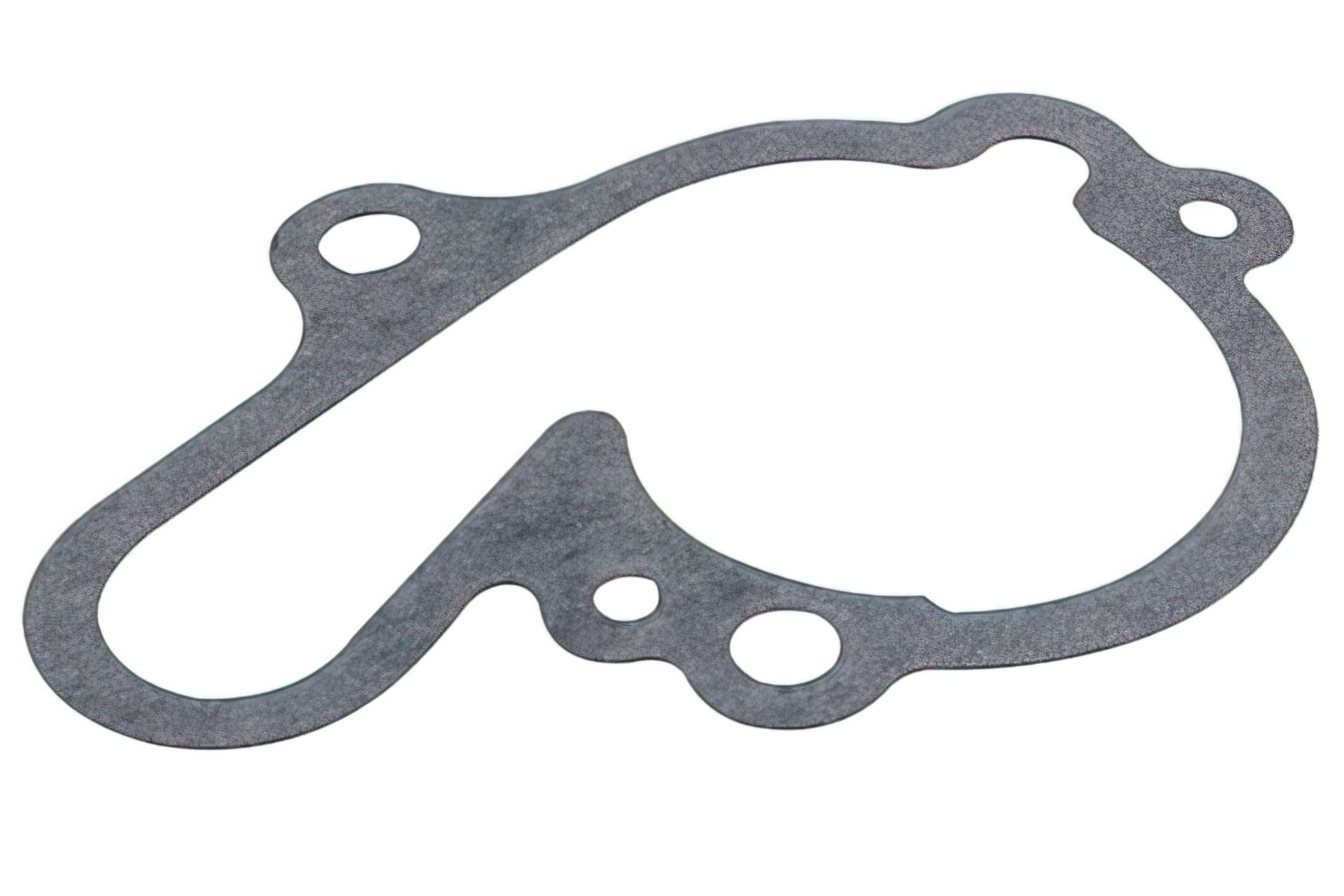 MF10.13011 Water Pump Gasket Minarelli AM6