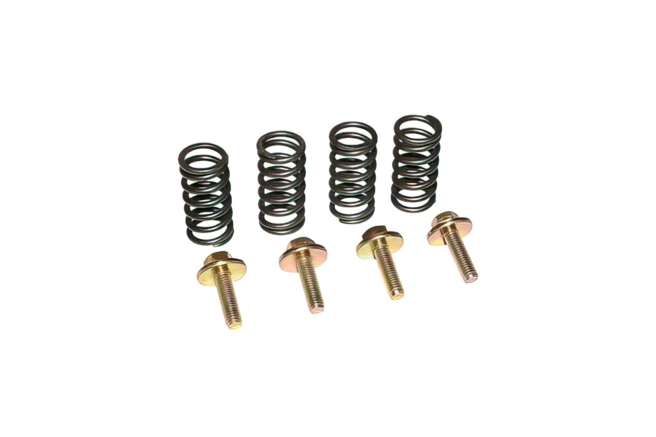 EKP-138730 Clutch Springs Original Quality with Screws - Minarelli AM6