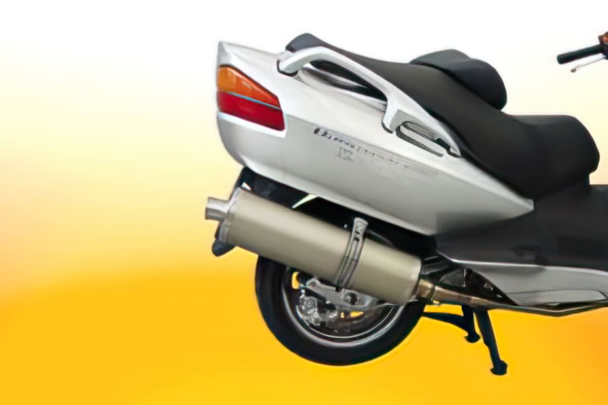 M3214232 Malossi Wild Lion Piaggio MP3 Exhaust