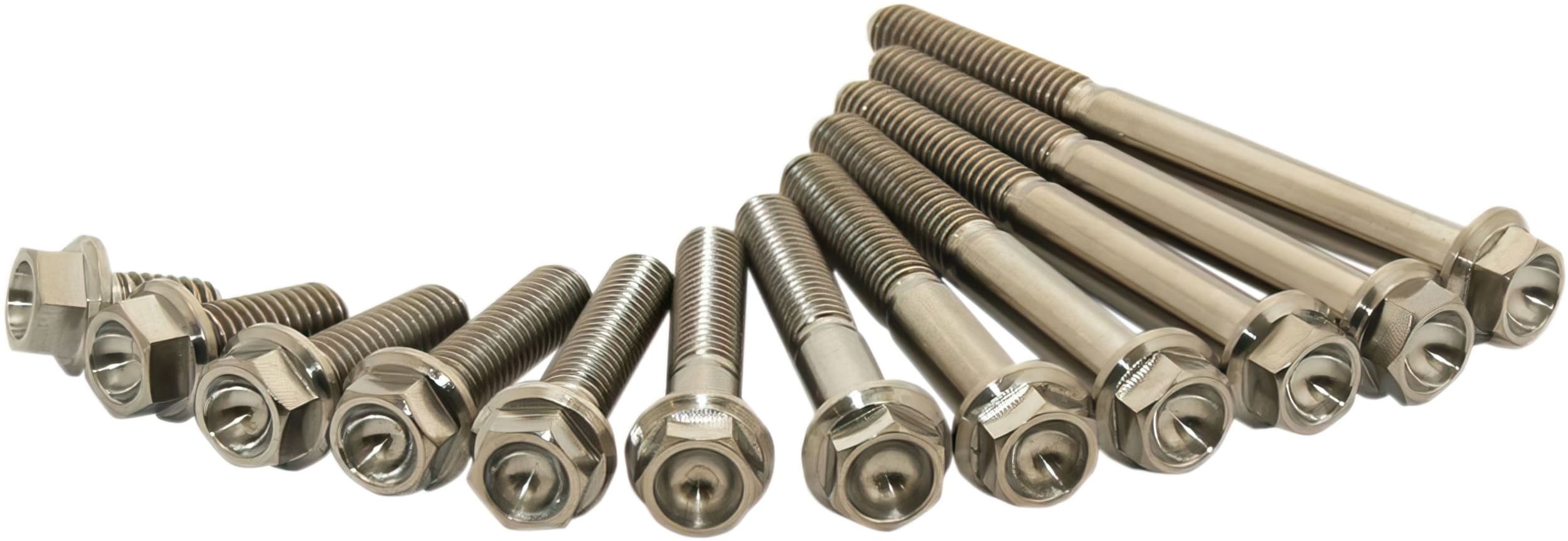 SC-24040828 Titanium screws Scar M6X10 (x2)