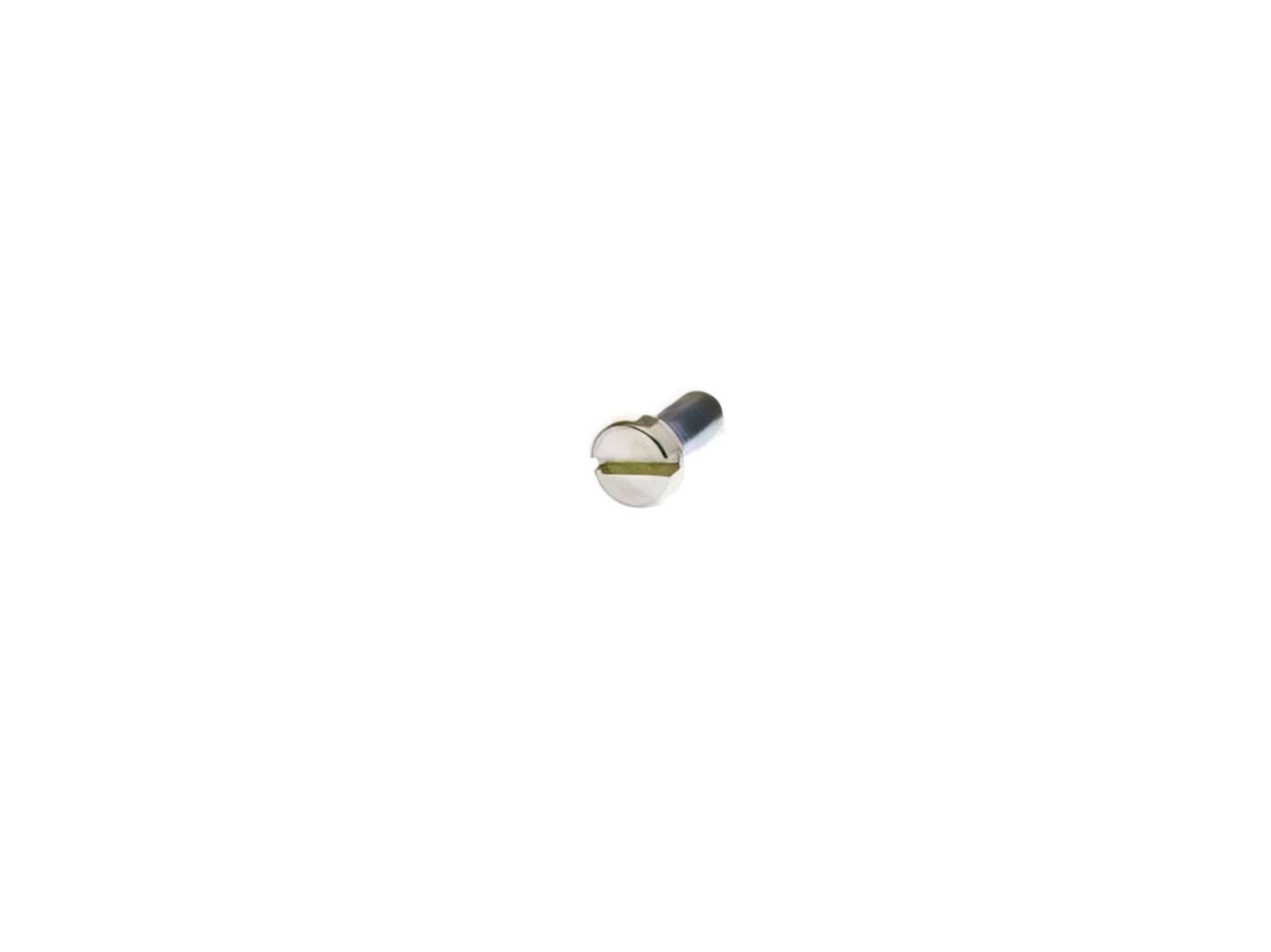 L-DEL0419000-36 Fuel filter support screw Dellorto SHA