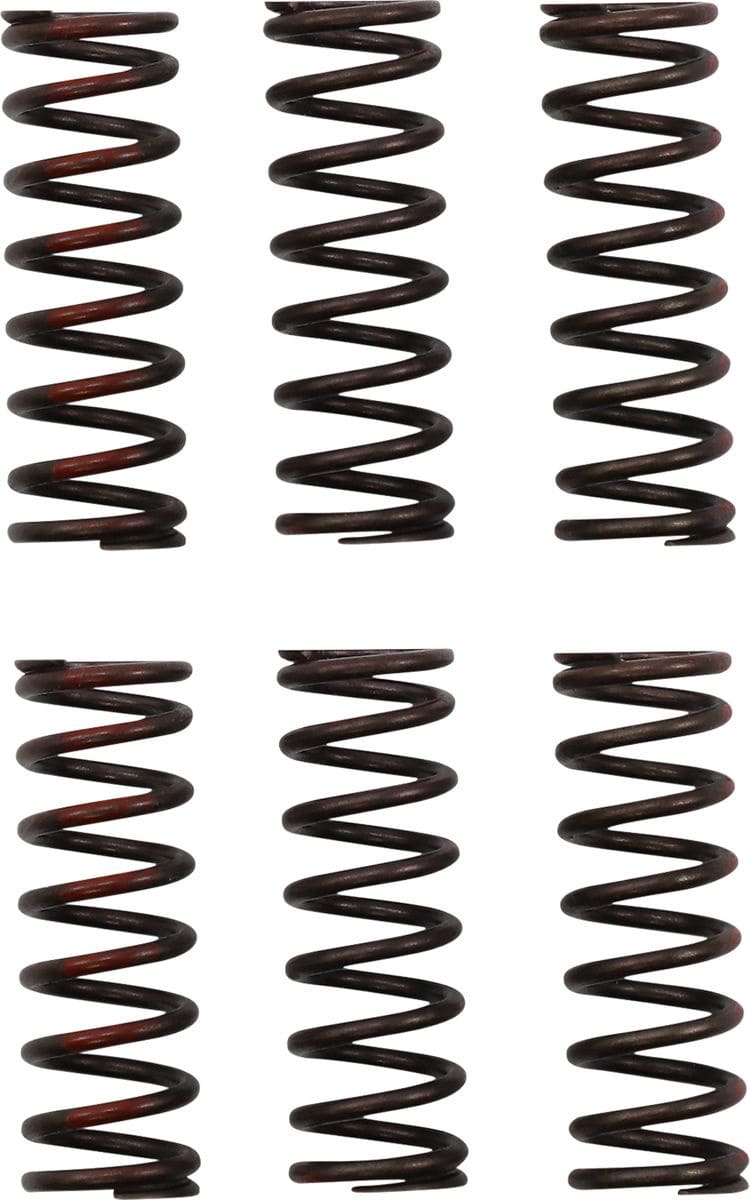 PC-11313719 Clutch Springs Pro Circuit CRF 450 after 2021